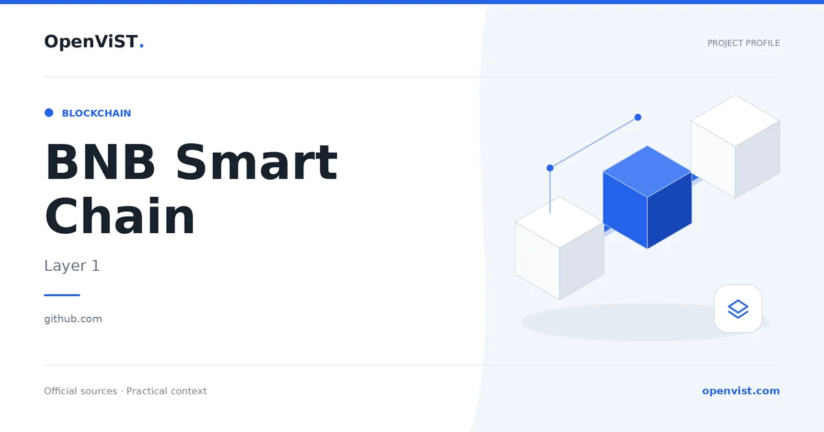 BNB Smart Chain — OpenViST project profile in Layer 1.