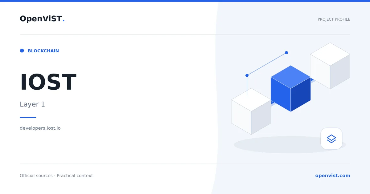 IOST — OpenViST project profile in Layer 1.