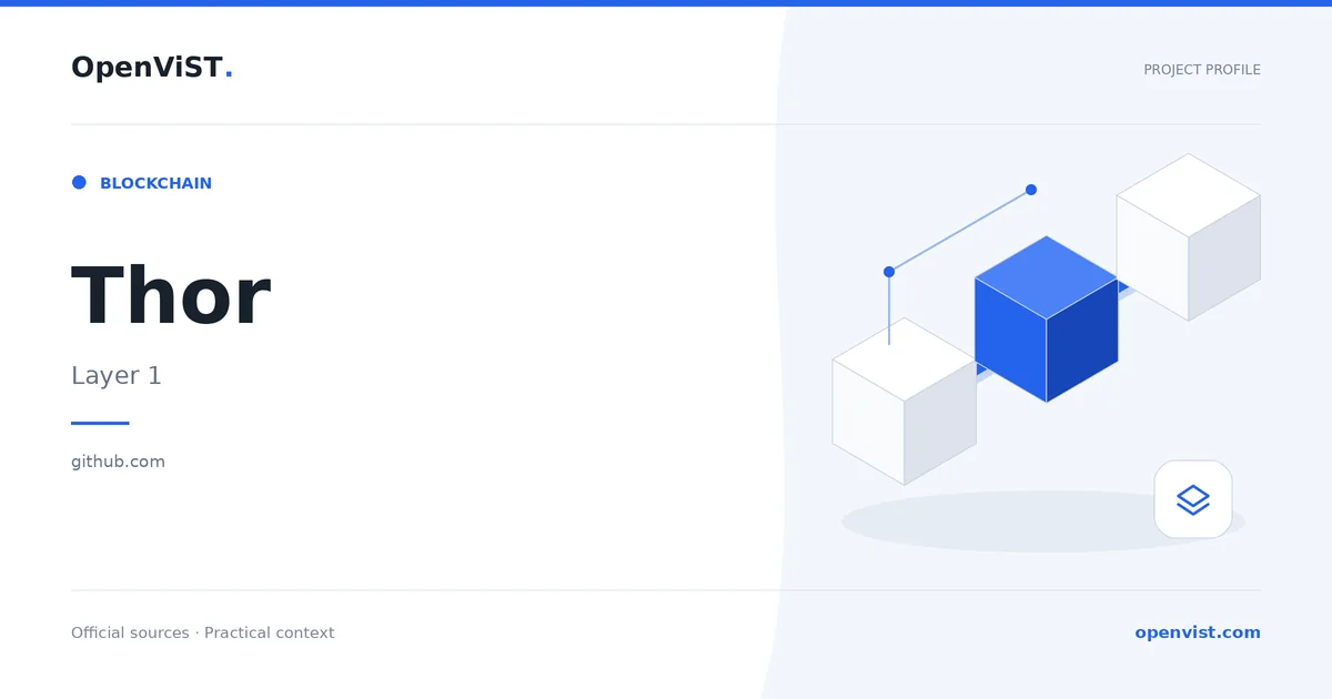 Thor — OpenViST project profile in Layer 1.