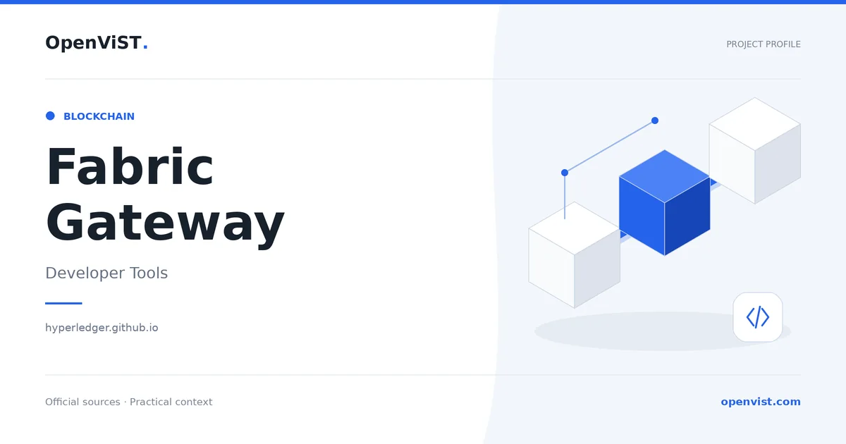 Fabric Gateway — OpenViST project profile in Developer Tools.