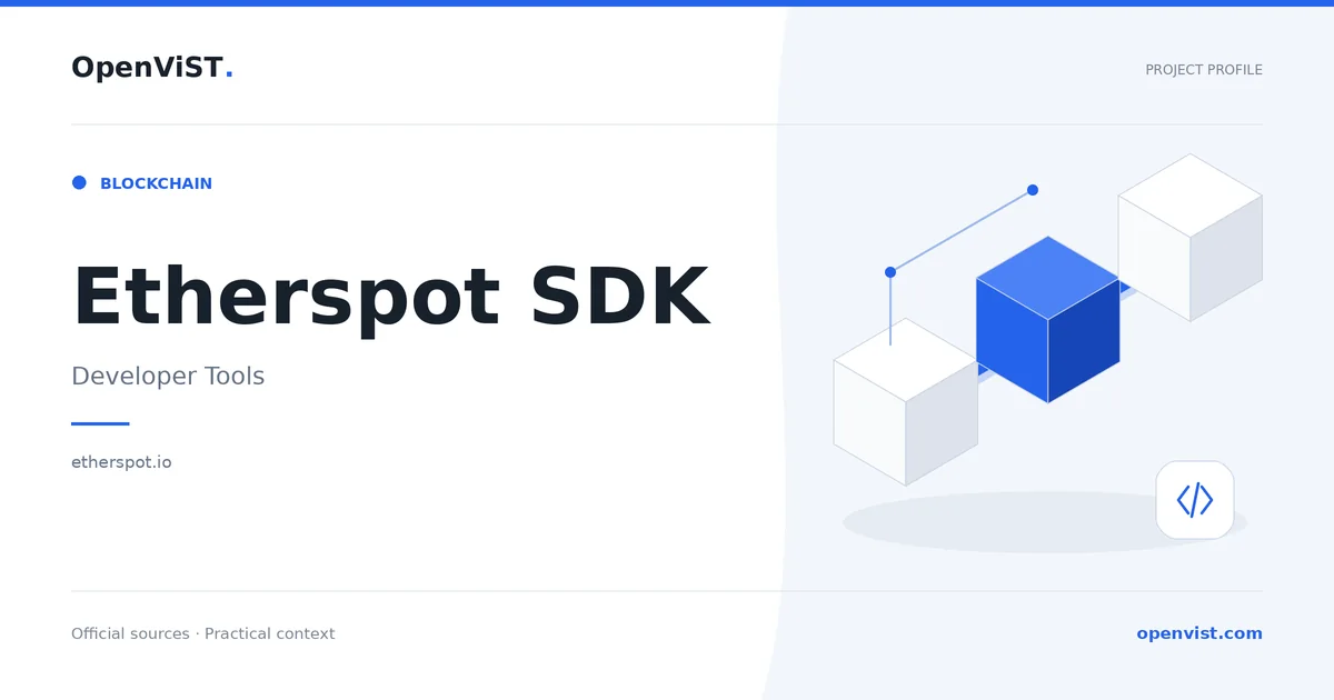 Etherspot SDK — OpenViST project profile in Developer Tools.