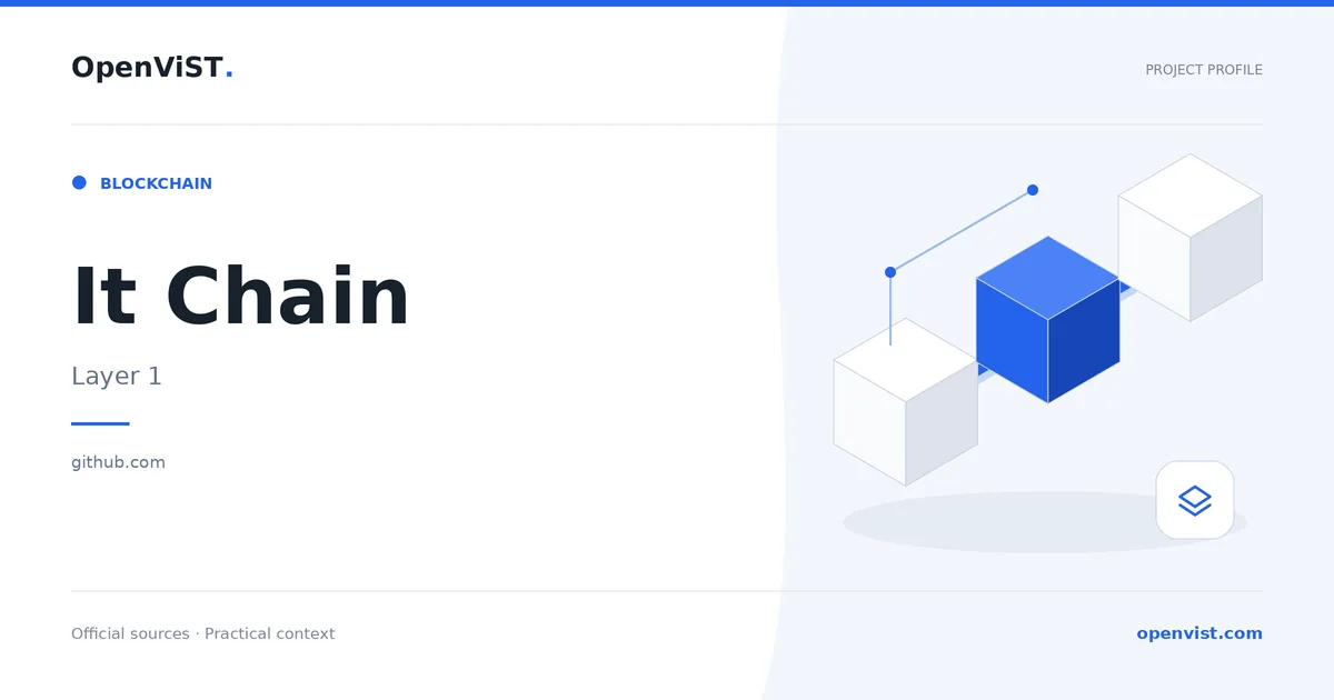 It Chain — OpenViST project profile in Layer 1.