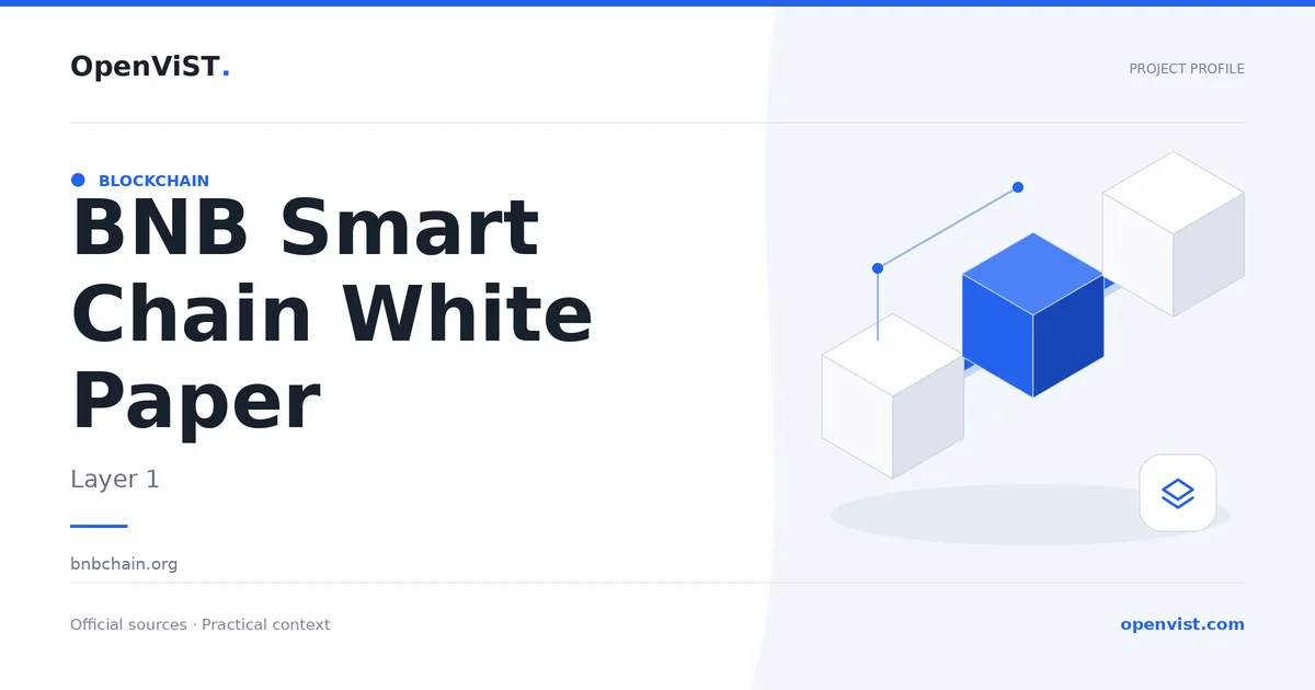 BNB Smart Chain White Paper — OpenViST project profile in Layer 1.
